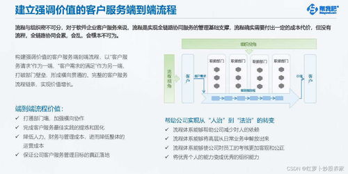 《2024年軟件開(kāi)發(fā)行業(yè)客戶服務(wù)白皮書》